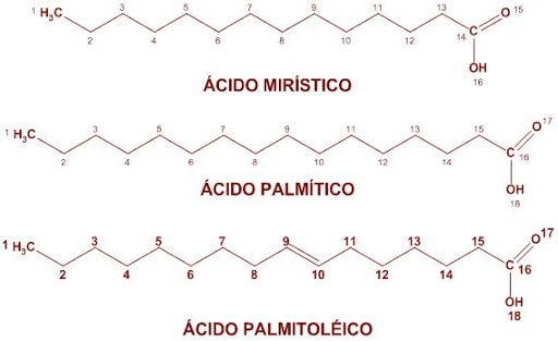 Acido-miristico