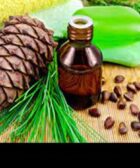 El aceite de pino un aceite esencial de la hoja del pino